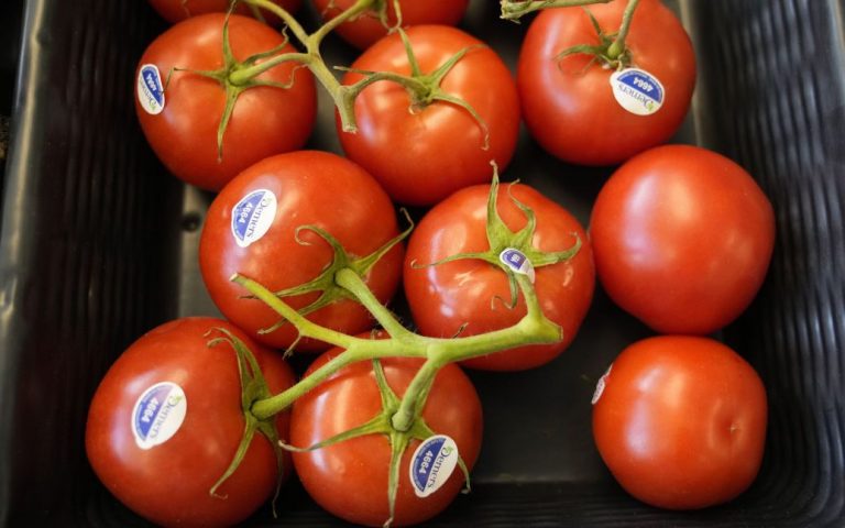 За неделю в Украине на 11% подорожали импортные помидоры