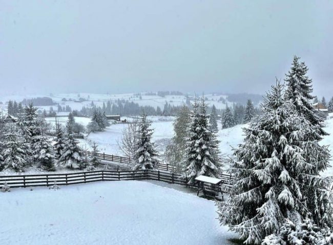 Румынию после рекордного тепла в апреле накрыл циклон: в горах выпало до полуметра снега
