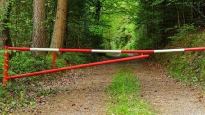 Во Львовской области запретили посещение приграничных Яворовских лесов вдоль трех автодорог