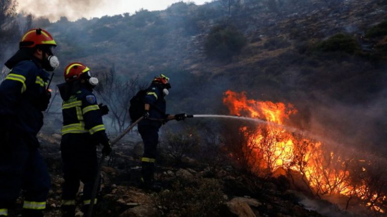 В Греции готовятся к майскому сезону пожаров и набирают сотрудников в пожарные части