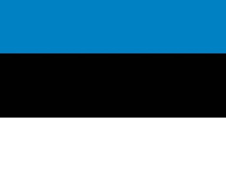 В конце недели в Киеве откроют новое Посольство Эстонии