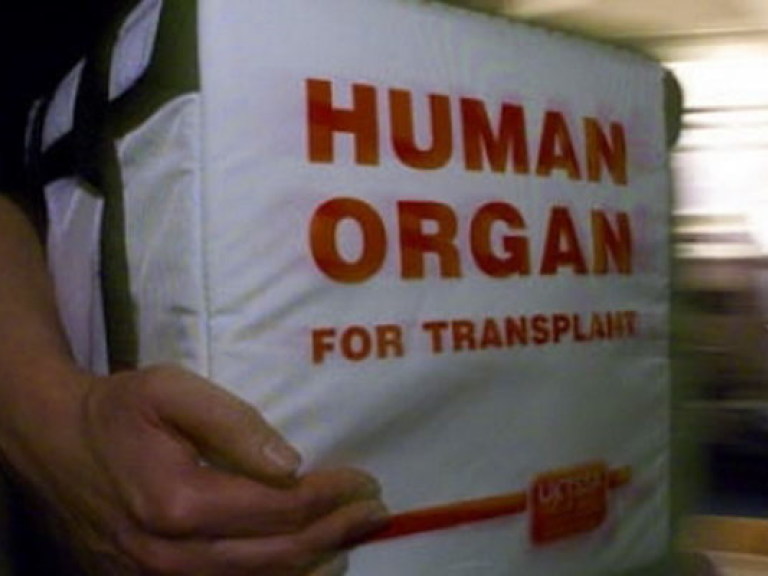 Эксперт: Испрашивать у родственников погибшего разрешения на трансплантацию его органов бессмысленно