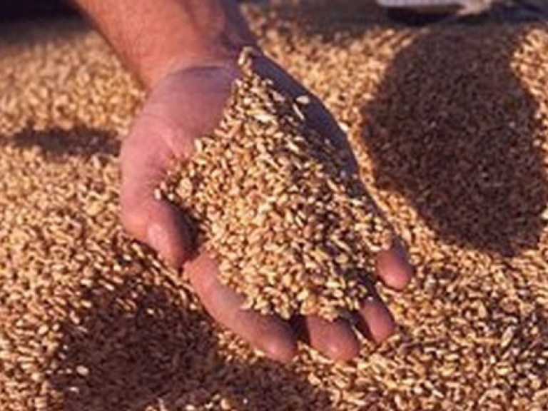 Минагрополитики: логистика зерновых будет снижена