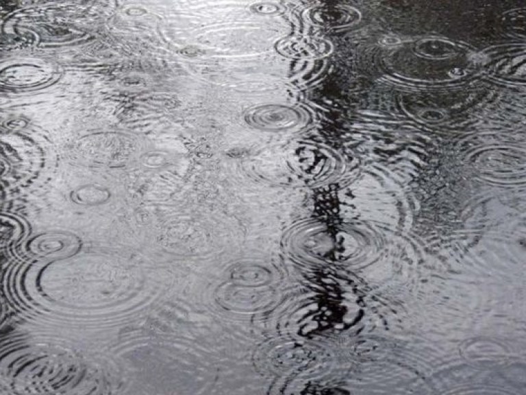 Cиноптик: 10 апреля в украине повысится влажность