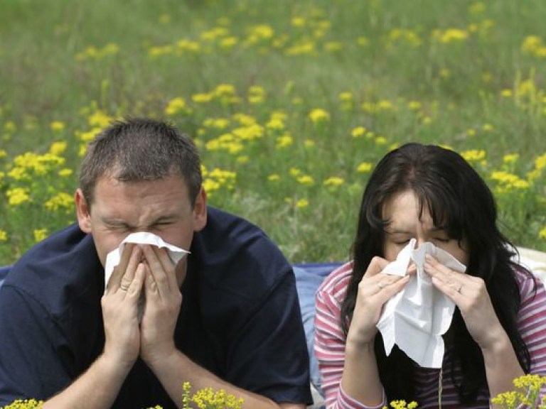 Медик рассказал, какие растения вызывают весной аллергический насморк