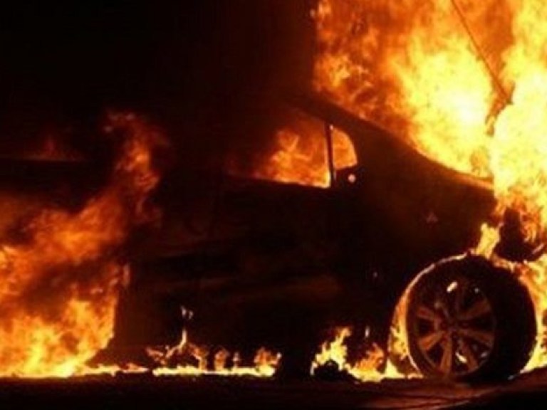 В Николаевской области в лесу нашли сгоревший автомобиль с двумя трупами