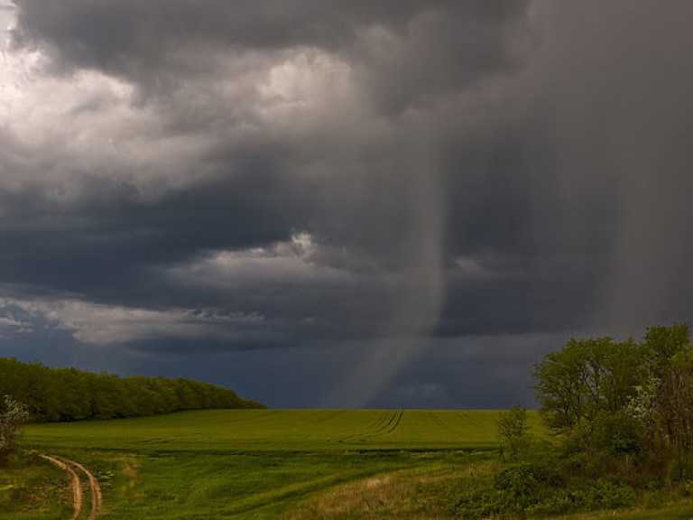 Синоптик: 14-15 мая дожди с запада Украины начнут перемещаться на север и восток (КАРТА)