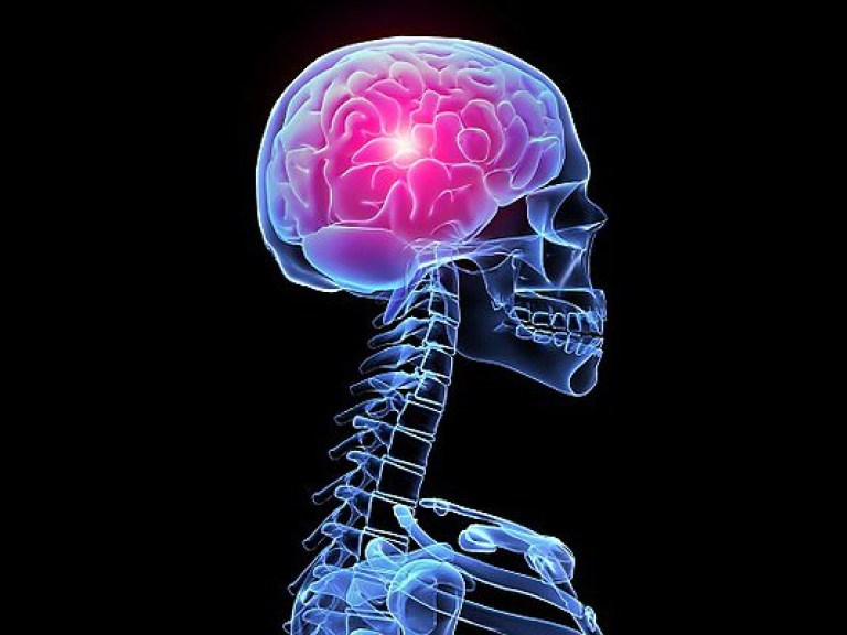 Ученые создали элемент искусственного мозга человека – ячейку памяти