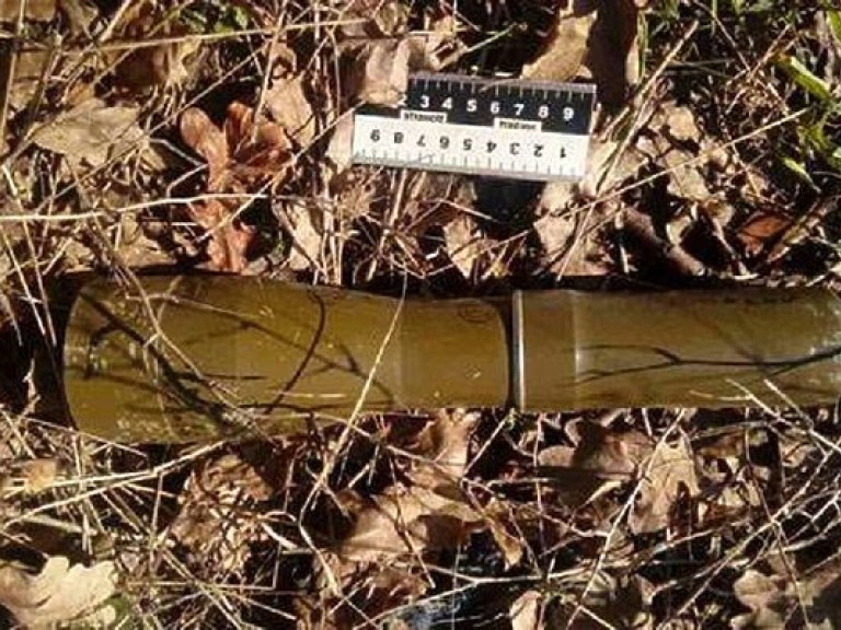 С начала года в Донецкой области из-за неосторожного обращения с боеприпасами погибли 6 человек