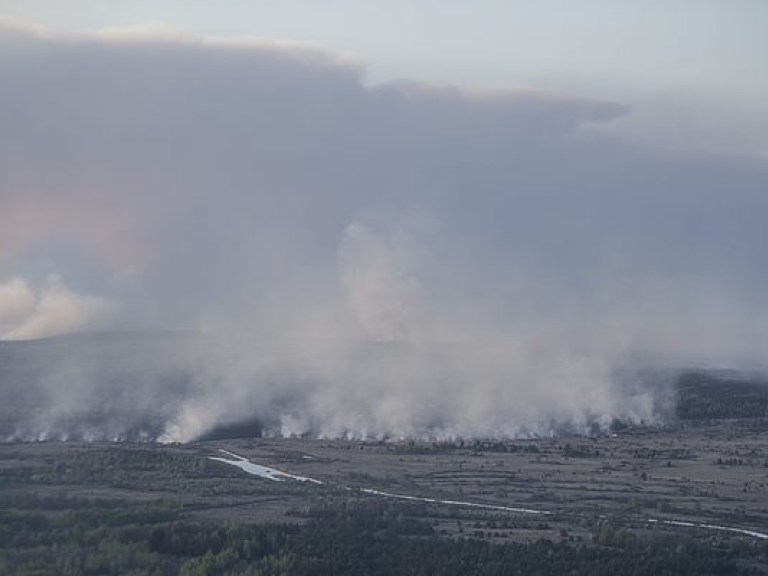 В Чернобыльской зоне горят 25 гектаров леса