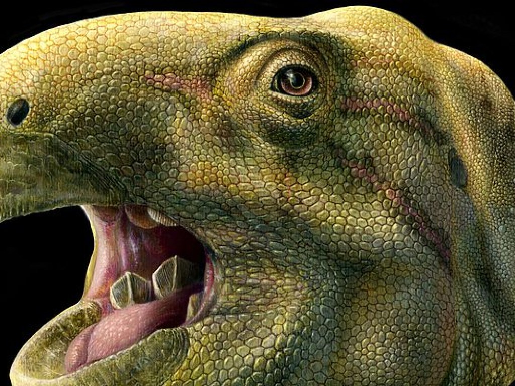 Открыт новый вид доисторических животных – ученые