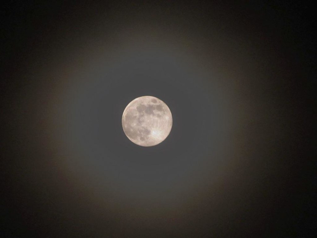 В небе над Закарпатьем заметили редкое оптическое явление вокруг полной Луны (ФОТО)