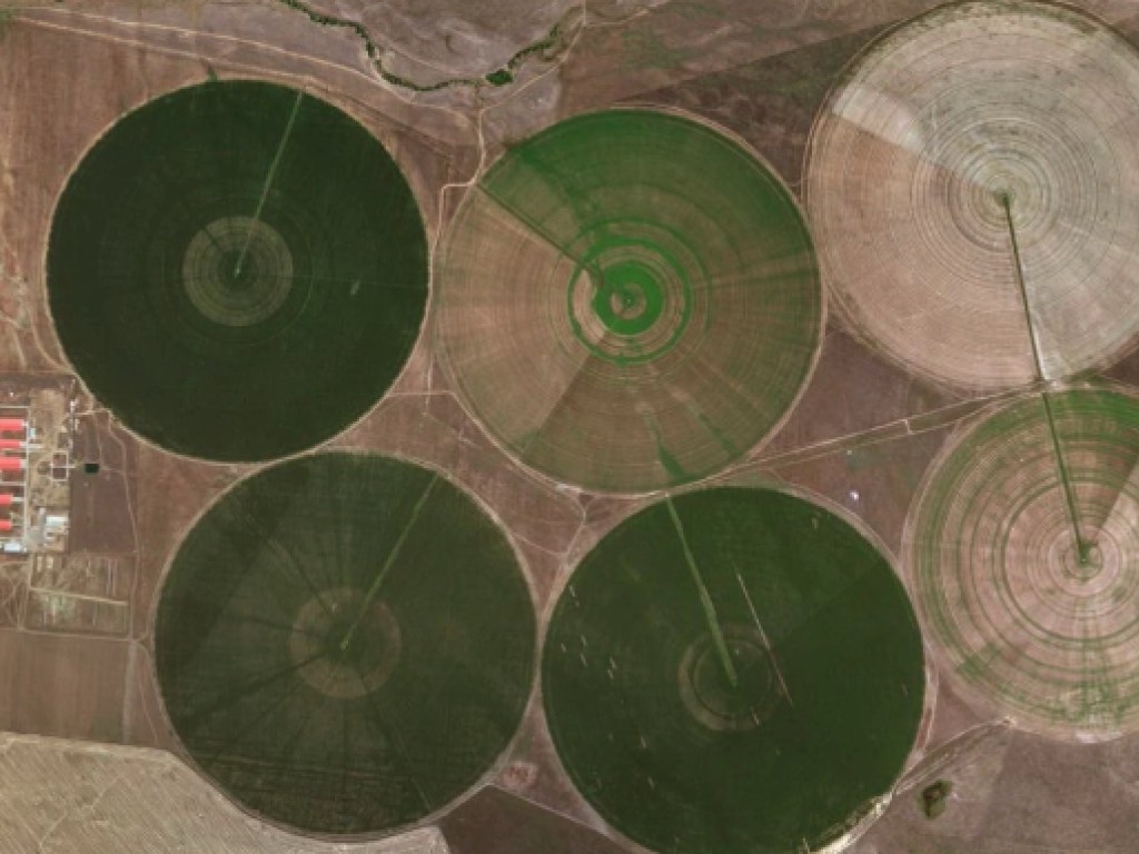 На полях Казахстана появились необычные зеленые круги (ФОТО)
