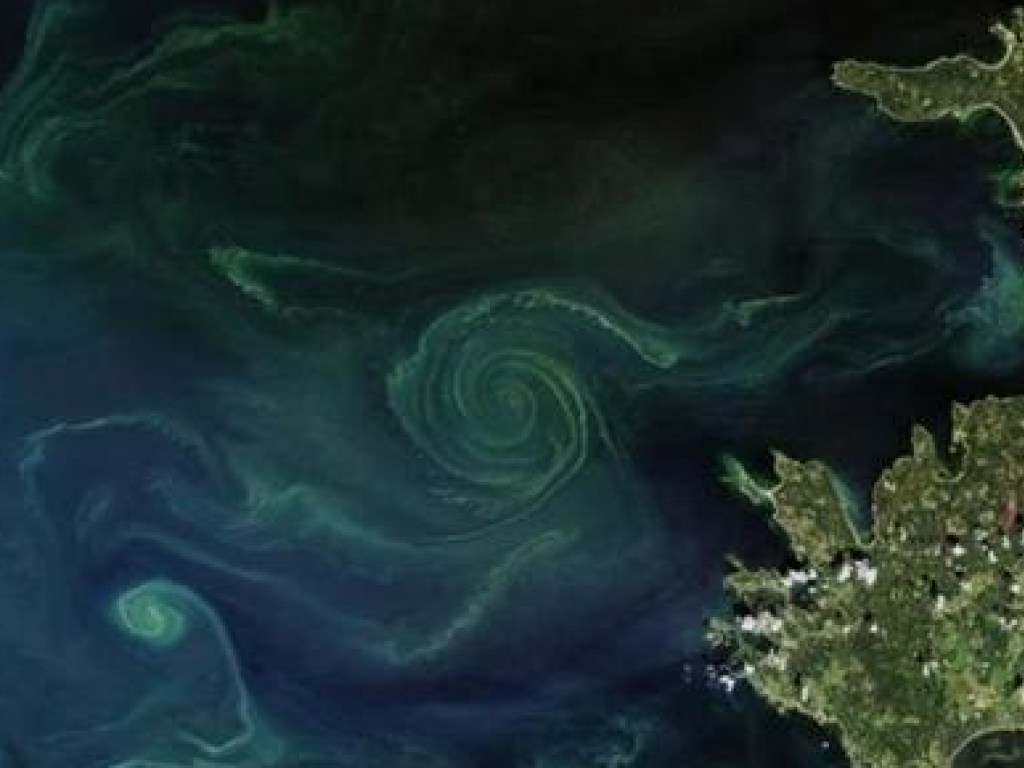 NASA опубликовало снимки Балтийского моря из космоса (ФОТО)