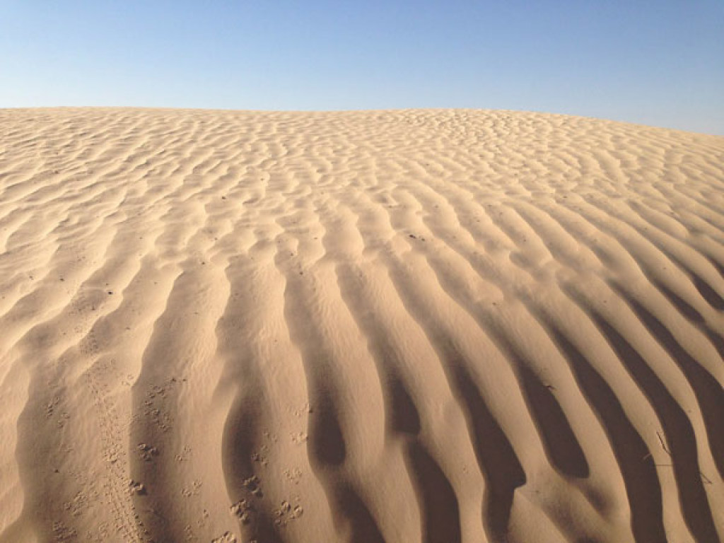 Ученые планирует превратить пустыню Сахару в электростанцию 