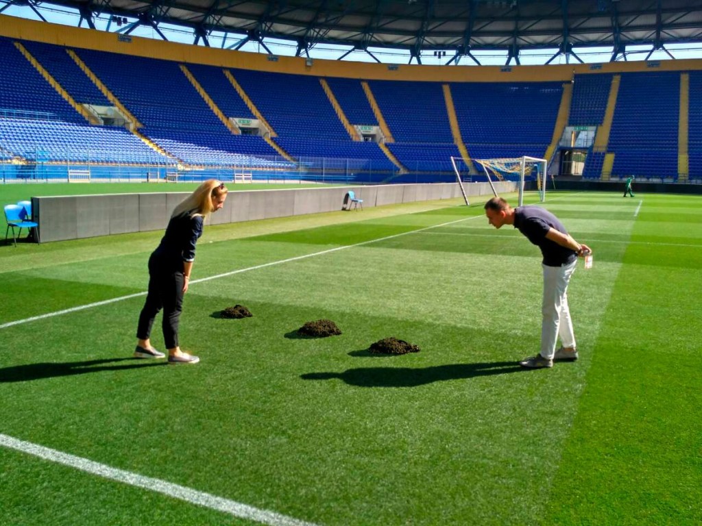 Курьез дня: На харьковском стадионе «Металлист» перед матчем кроты вырыли норы (ФОТО)