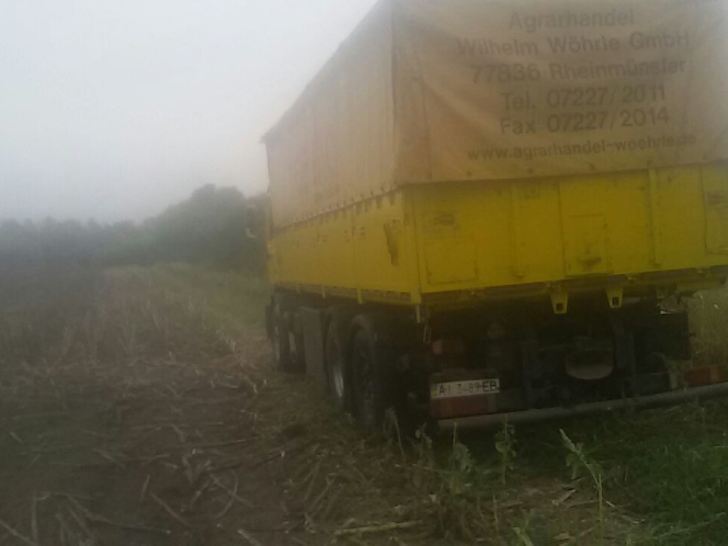 В Киевской области «титушки» украли с поля урожай на 1,5 миллиона гривен