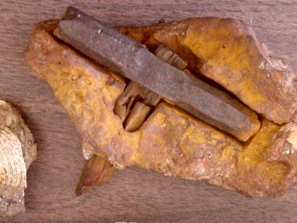 Обнаружены артефакты, появившиеся миллионы лет назад: металл в буром угле и молоток в камне (ФОТО)