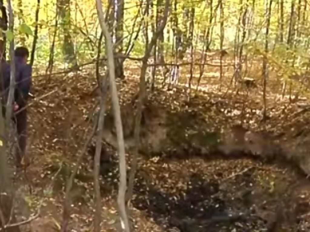 В Черном лесу нашли разрушен госпиталь УПА с человеческими останками
