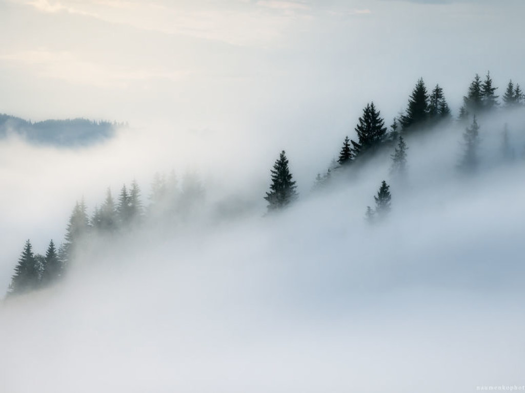 В Карпатах из-за сильного тумана потерялись пять лыжников