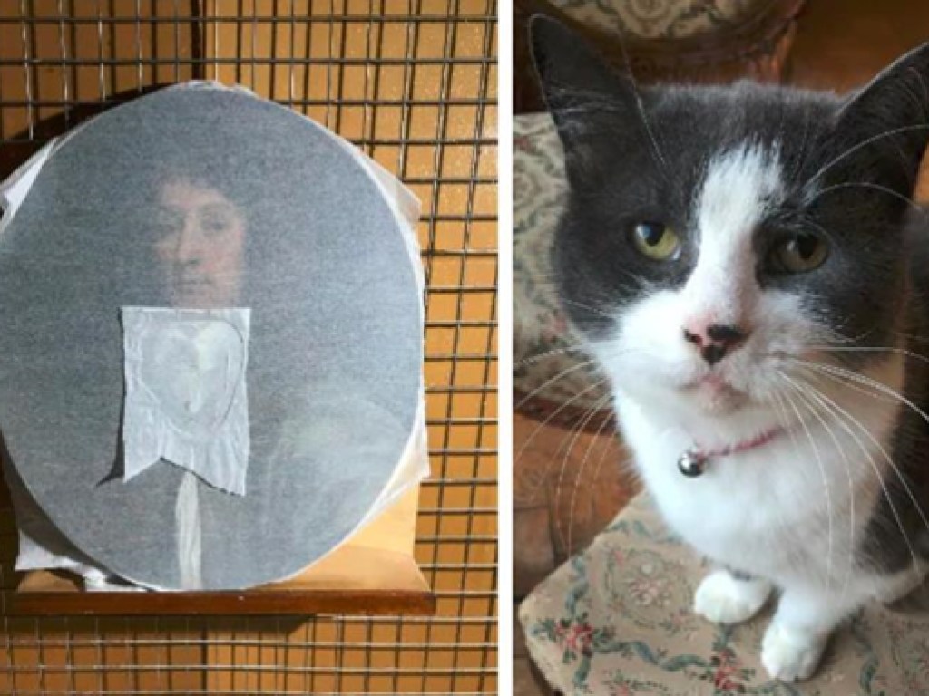 Была в отличном состоянии: Наглая кошка испортила картину XVII века (ФОТО)