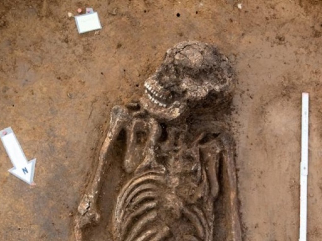  В Германии обнаружили скелет человека 6500-летнего возраста 