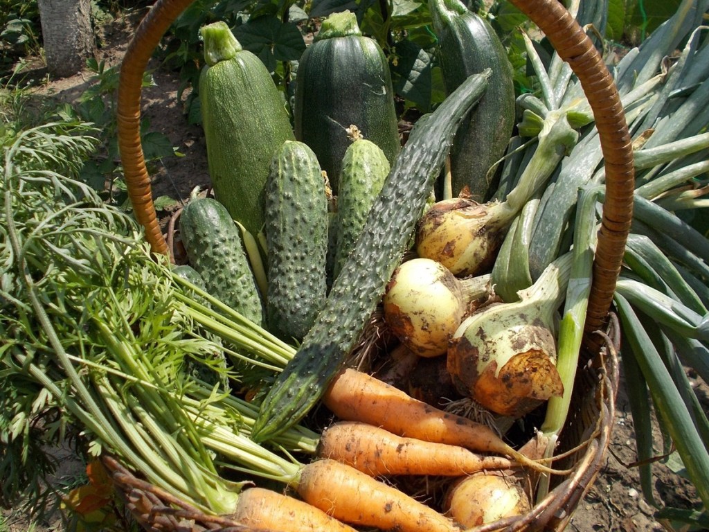 Эксперты назвали самую дорогую и самую дешевую овощные корзины в Украине