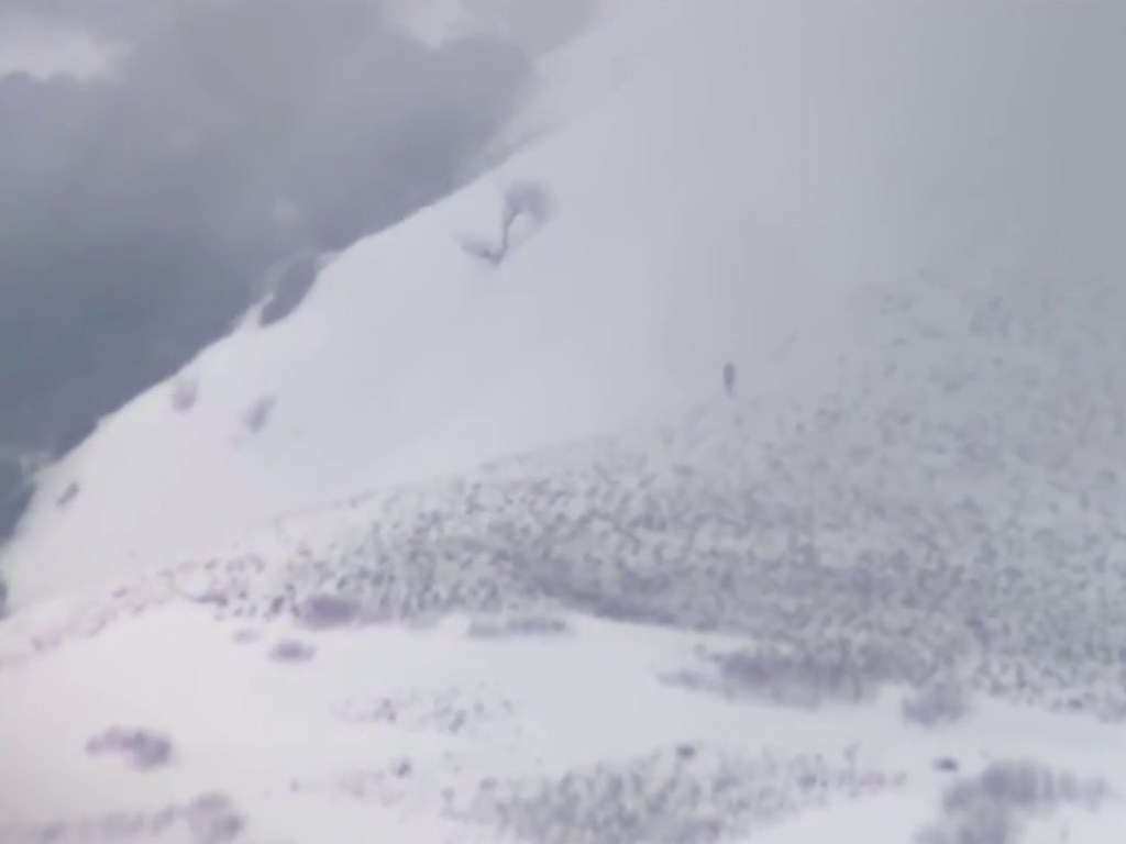 В горах США удалось заснять снежного человека (ВИДЕО)