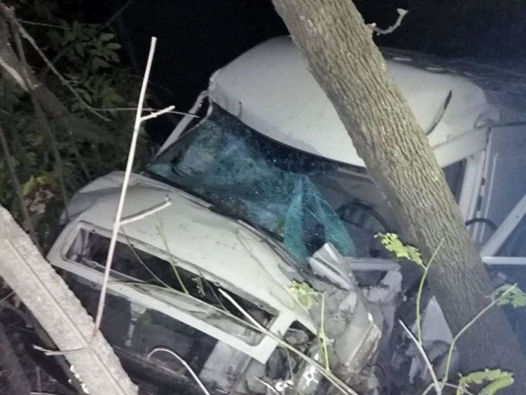На Донеччине грузовик сбил на смерть пешехода и въехал в дерево (ФОТО)
