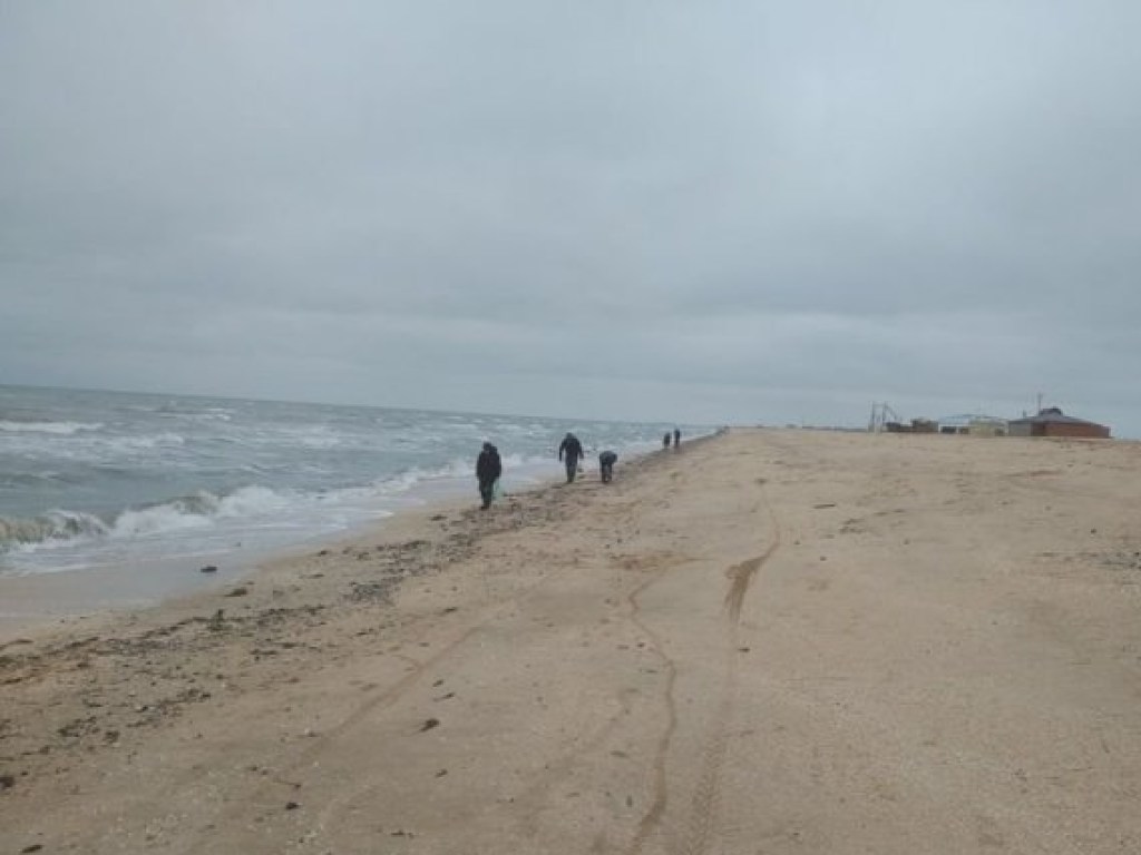 На пляжи Арабатской Стрелки море выбросило огромное количество раков (ФОТО)
