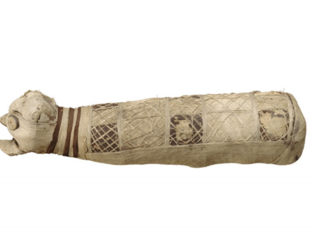 В мумии древнеегипетской кошки археологи нашли нечто удивительное: внутренности распечатали на 3D-принтере (ФОТО)