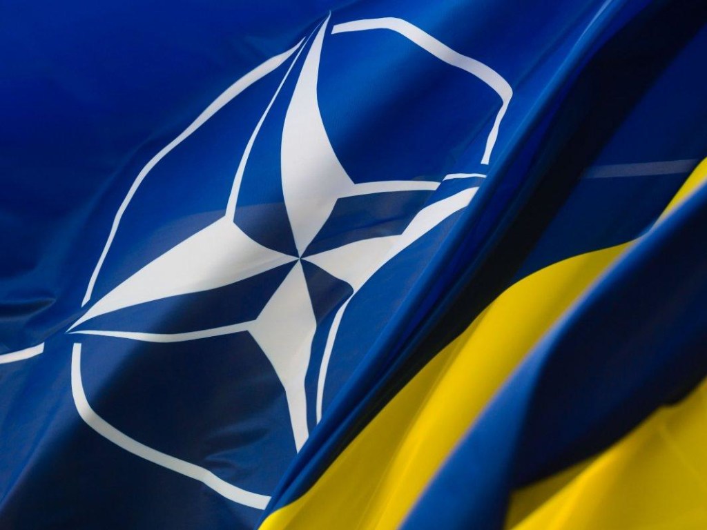 На сайте Рады опубликовали не тот текст о НАТО: в «Слуге народа» прокомментировали ошибку