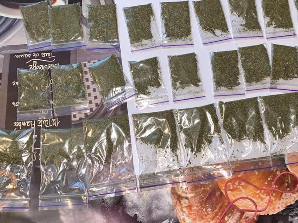 Сбывали марихуану: в Днепре задержали группу наркоторговцев (ФОТО, ВИДЕО)