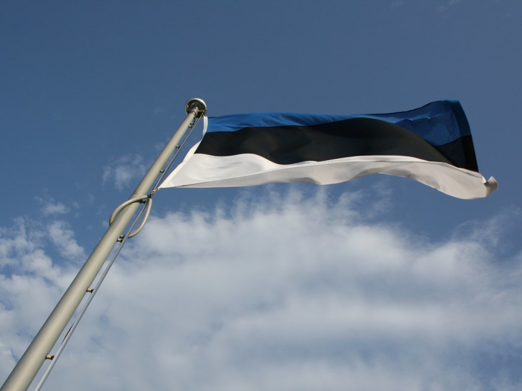 Ситуация ухудшается на протяжении двух месяцев: в Эстонии заявили о начале экономического кризиса
