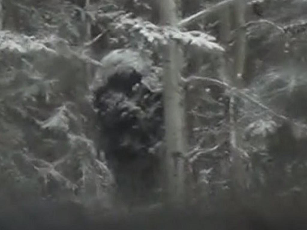 В заснеженном лесу Канады обнаружили огромного снежного человека (ФОТО, ВИДЕО)