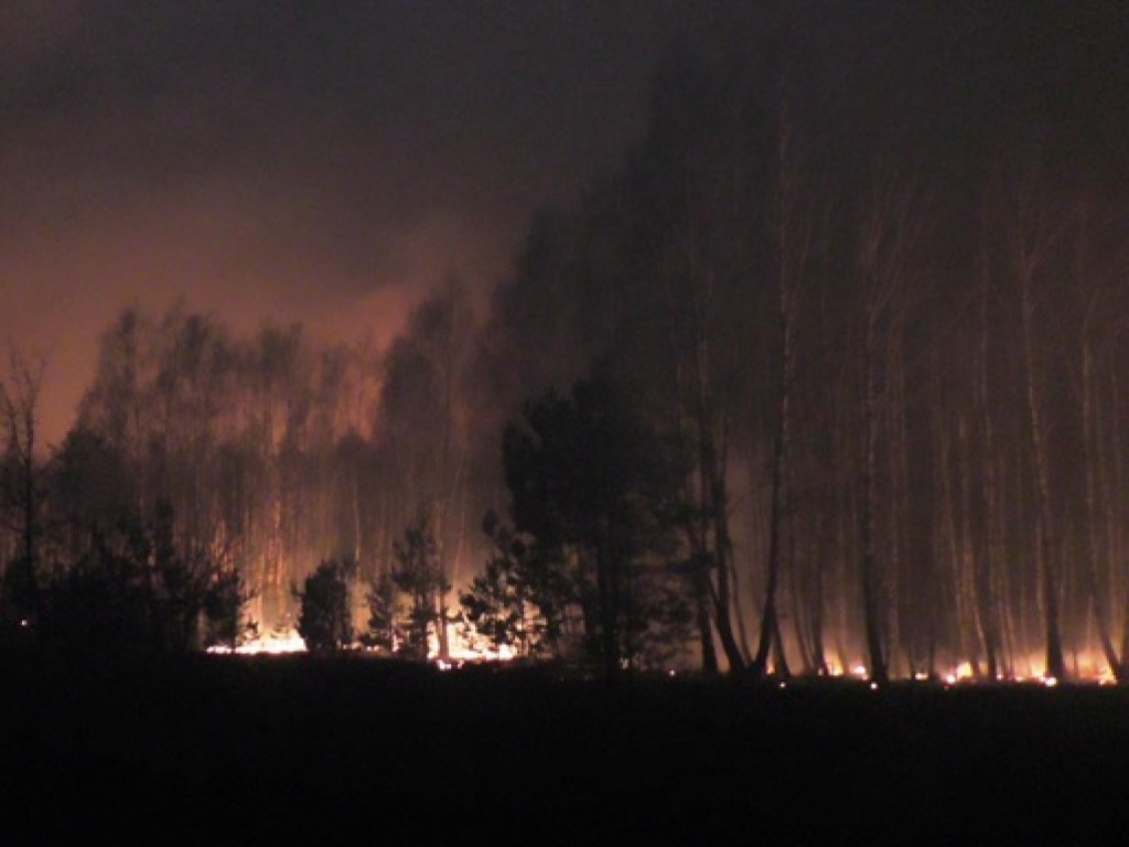 К тушению лесного пожара в Черниговской области привлекли авиацию