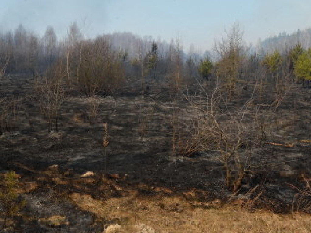 Пожар в Чернобыльской зоне: в селах горят дома (ФОТО, ВИДЕО)