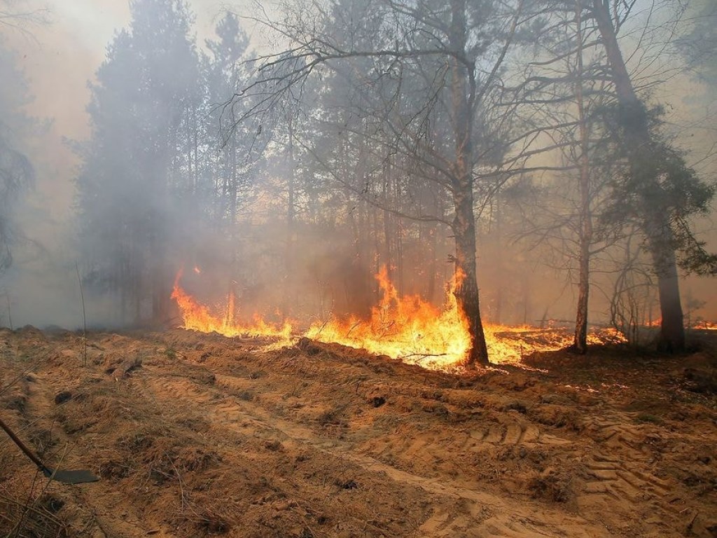 Пожар в чернобыльской зоне: продолжается тление травяного настила