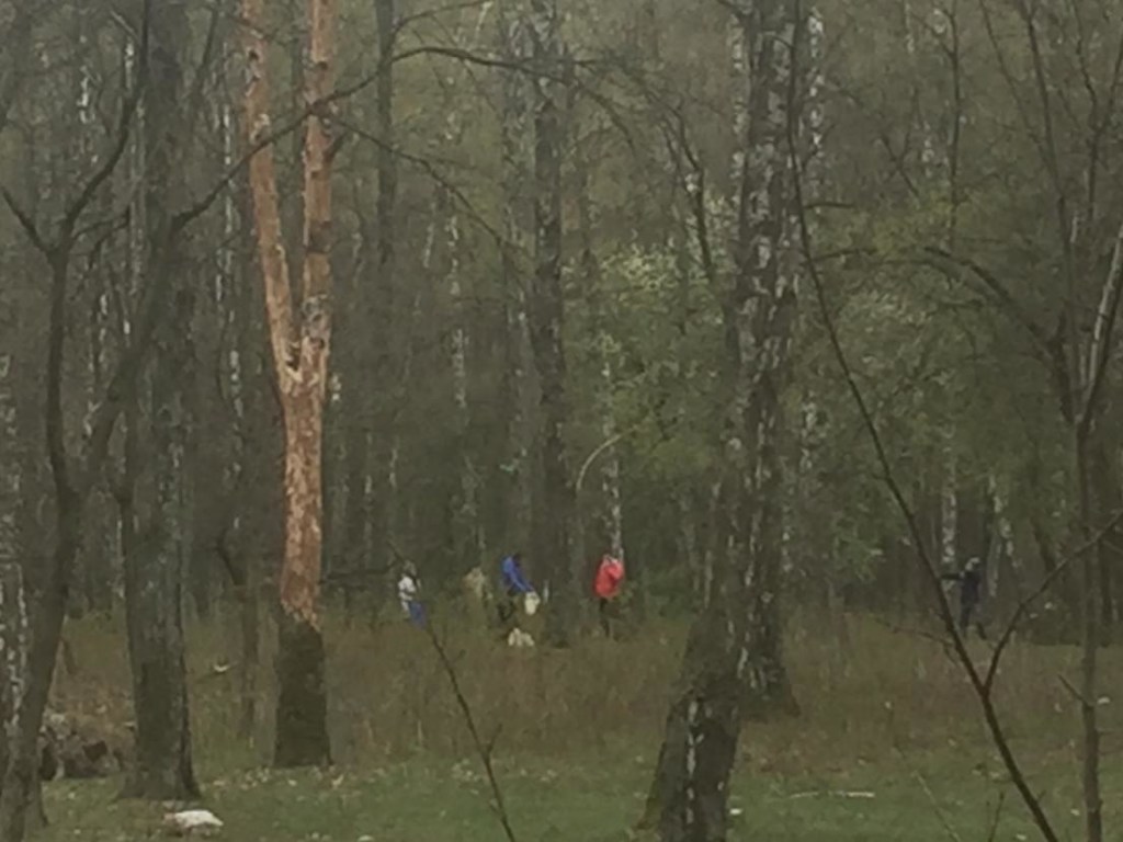 Вопреки карантину: жители Чернигова во время Пасхи гуляли в лесу и проводили пикники (ФОТО)