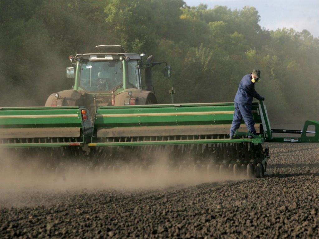 Украинские аграрии начали пересевать зерновые в некоторых регионах &#8211; эксперт