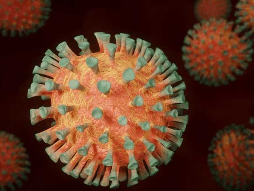 Вирусолог исключил повторение пандемии коронавируса