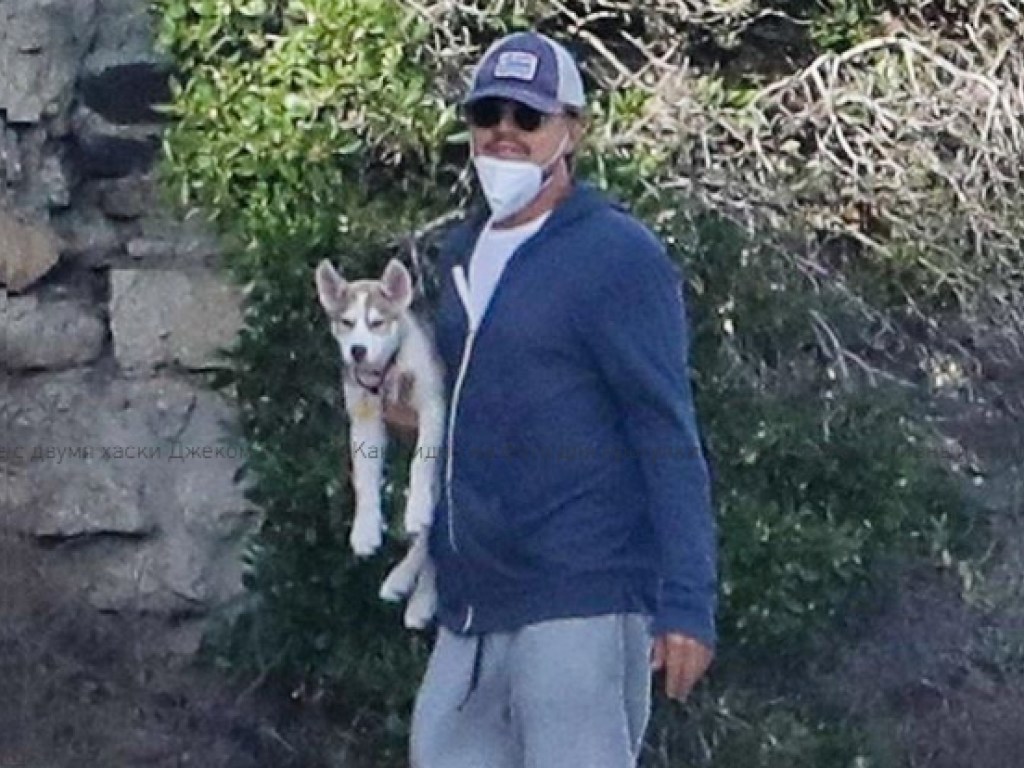 Ди Каприо в маске выгуливал щенков хаски своей любимой девушки (ФОТО)