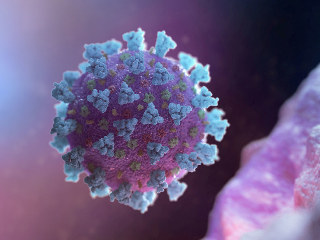 Украинский врач назвал коронавирус «фейковой пандемией, раздутой ВОЗ»