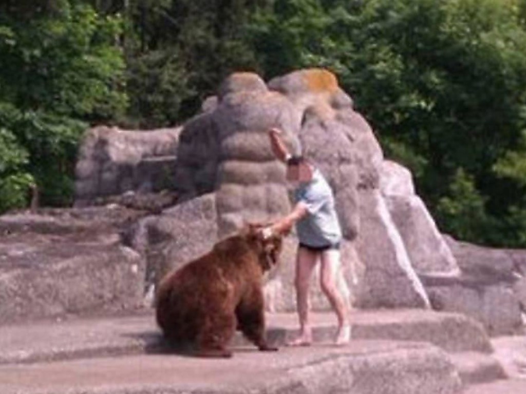 Пьяный поляк избил медведицу в зоопарке (ФОТО, ВИДЕО)