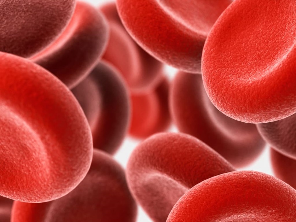Медики рассказали, какая группа крови считается самой ценной
