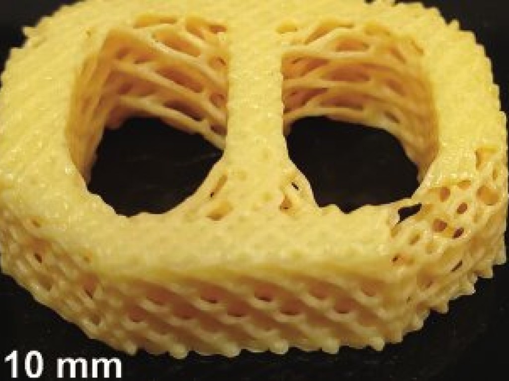Ученые с помощью 3D-принтера создали материал, имитирующий живую ткань (ФОТО)