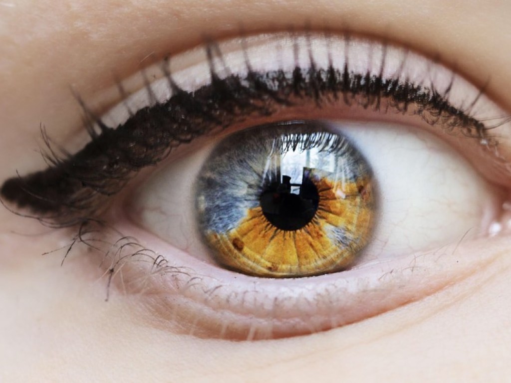 В Италии ученые разработали жидкий протез сетчатки глаза