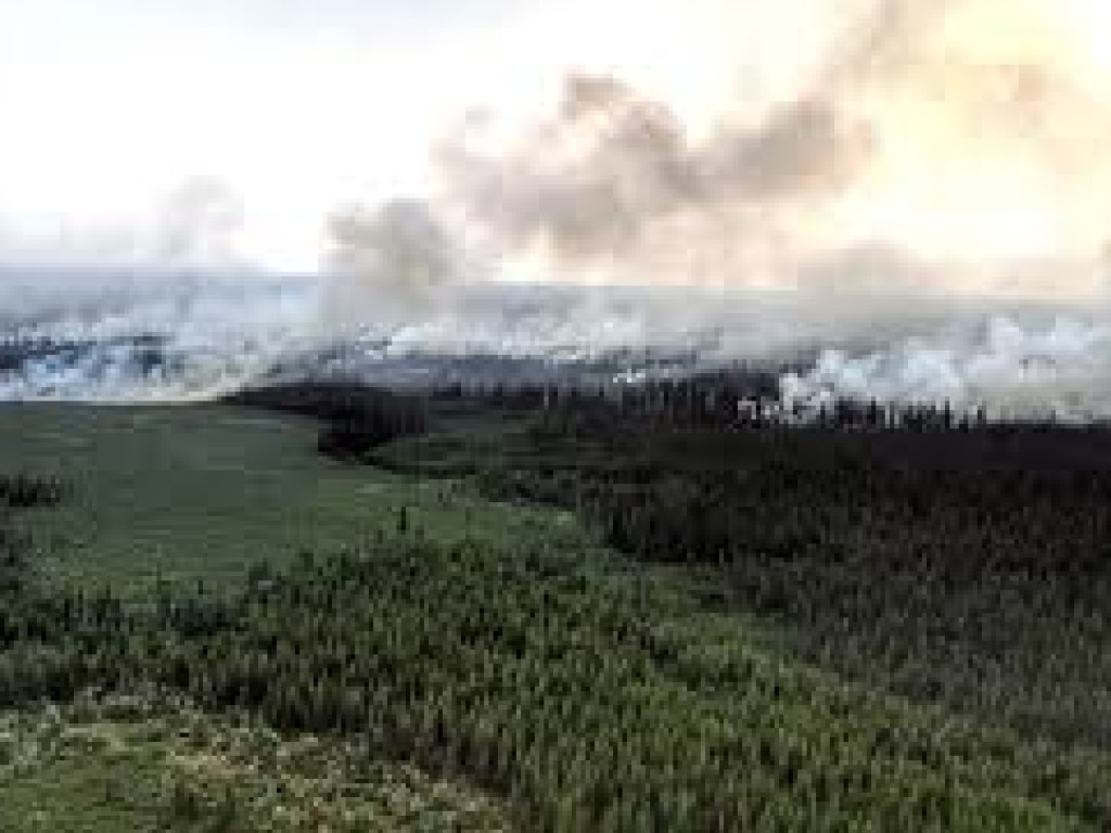Эколог рассказал, угрожают ли лесные пожары в Сибири ускорить таяние ледников
