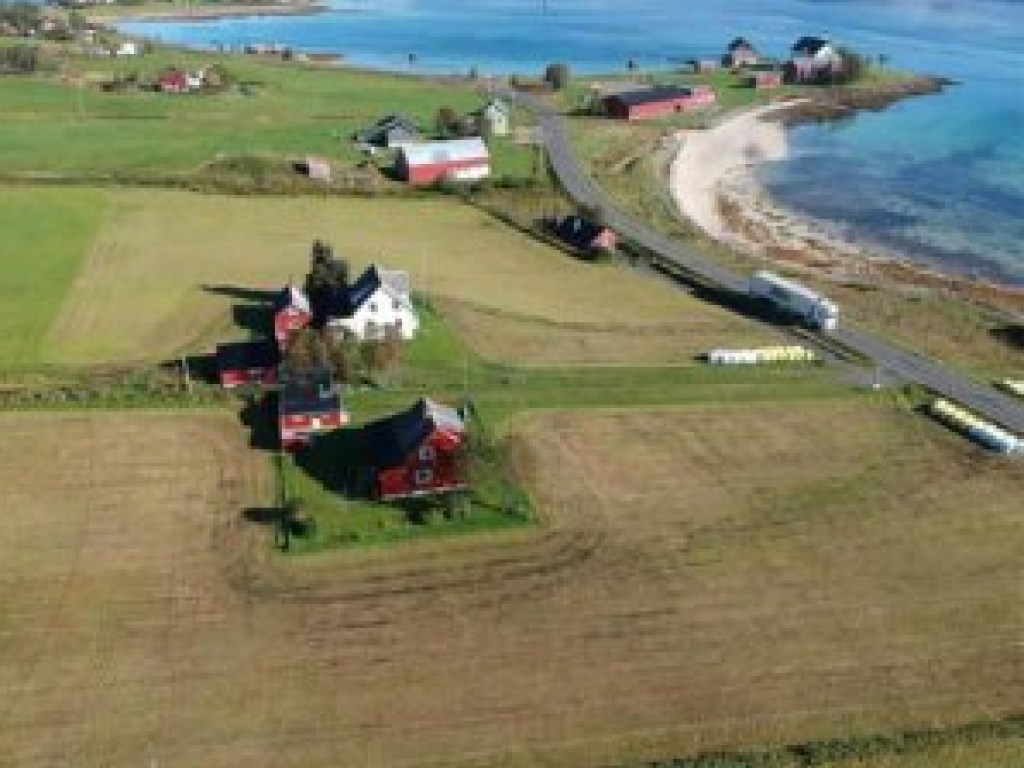 Норвежский студент обнаружил торговую станцию викингов: это изменит историю (ФОТО)