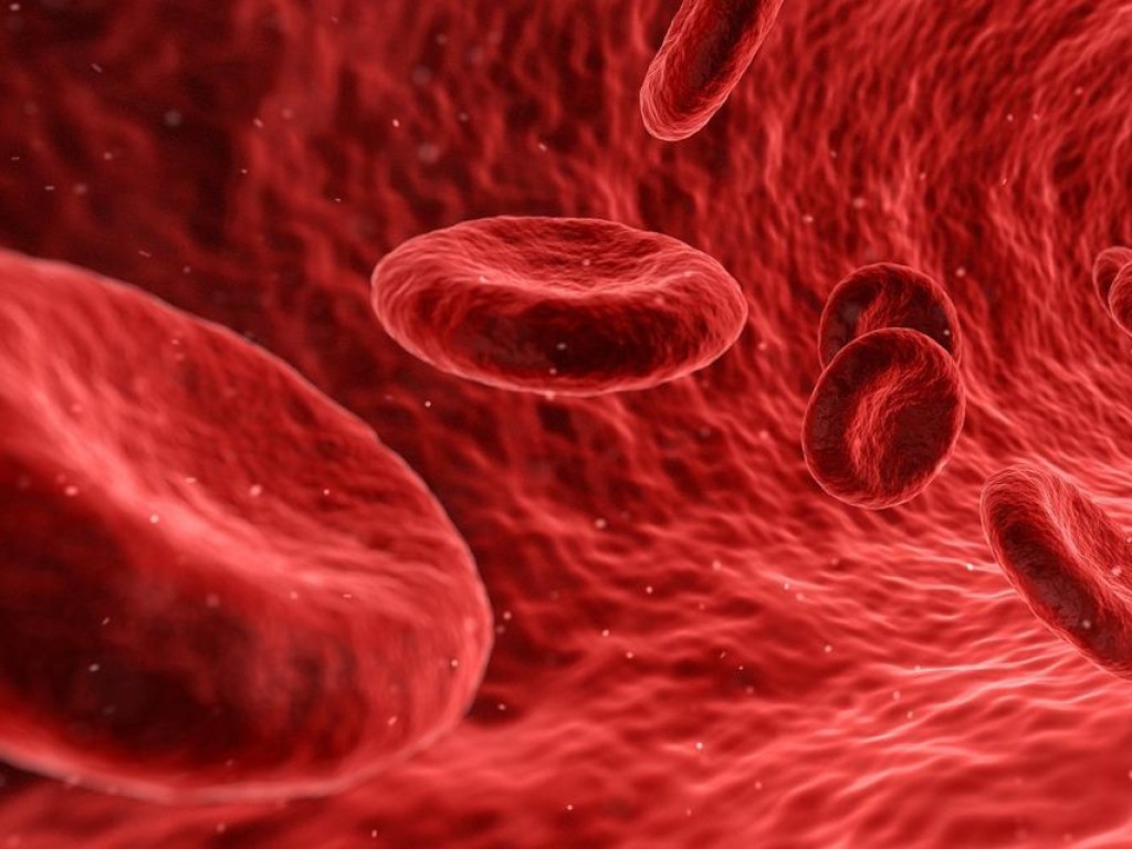 От уровня железа в крови зависит продолжительность жизни – ученые